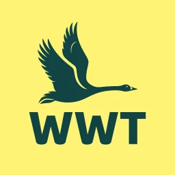 أيقونة WWT Washington